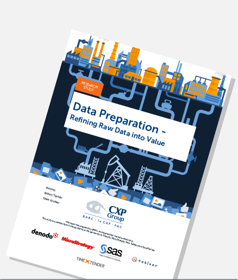 Data Preparation Report